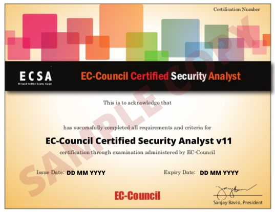 ECSA Certificate - ICSS